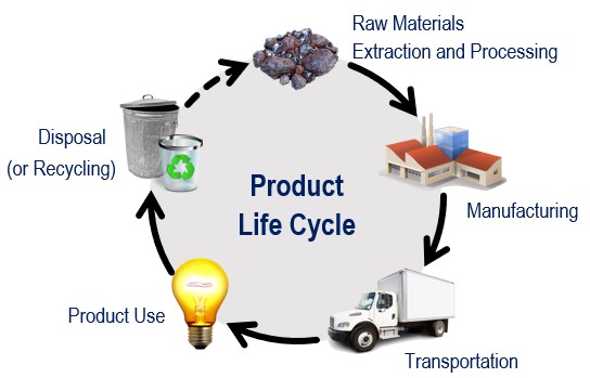 LifeCycle2022.jpg